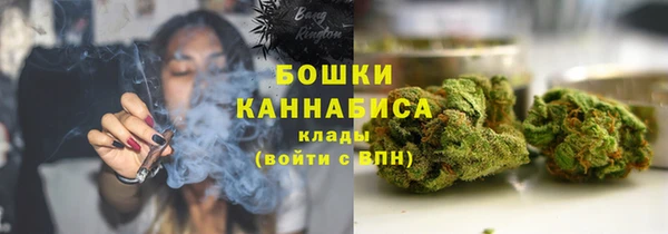 шишки Алексин
