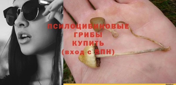 прущая мука Алзамай