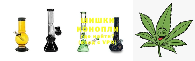 шишки Алексин
