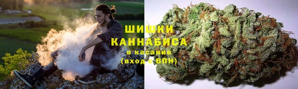 каннабис Алексеевка
