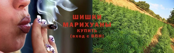 шишки Алексин