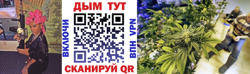 kraken маркетплейс  даркнет сайт  Новая Ладога  Бошки Шишки Amnesia 